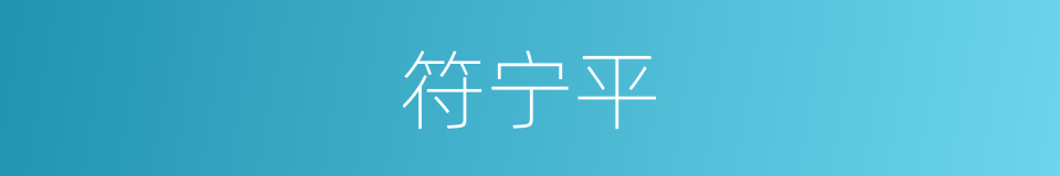 符宁平的同义词