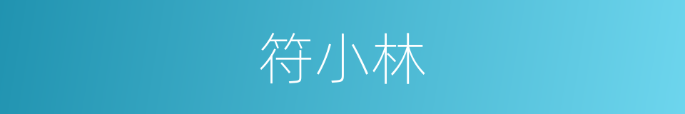 符小林的同义词