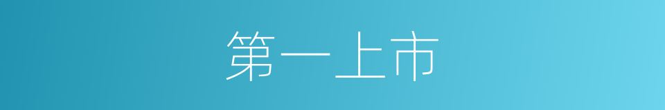 第一上市的同义词