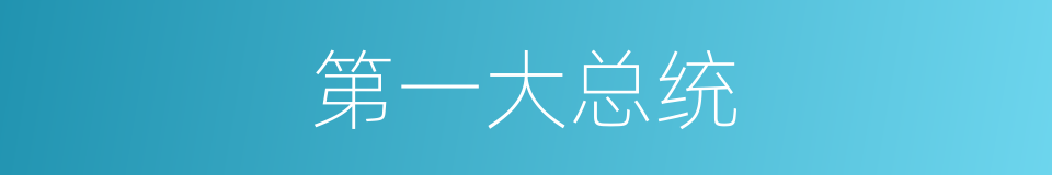 第一大总统的同义词