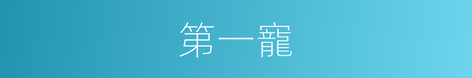第一寵的同義詞