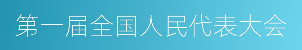 第一届全国人民代表大会的同义词