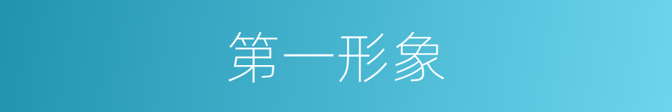第一形象的同义词