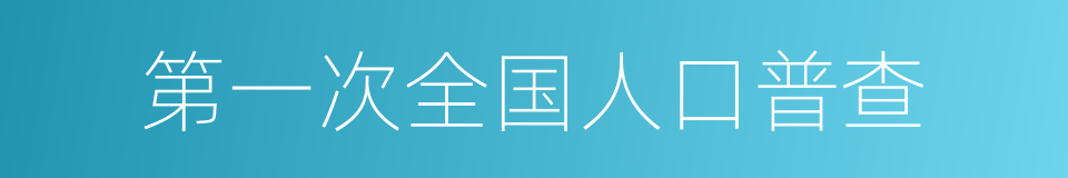 第一次全国人口普查的同义词