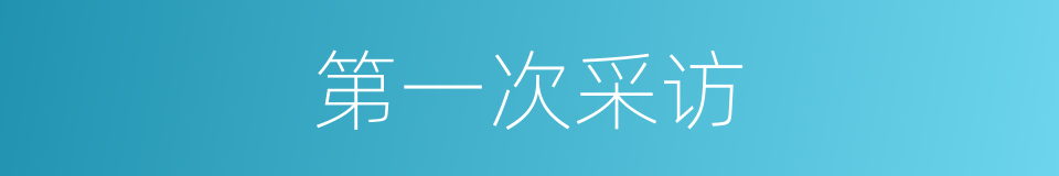 第一次采访的同义词
