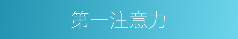 第一注意力的同义词
