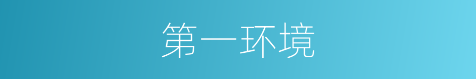 第一环境的同义词