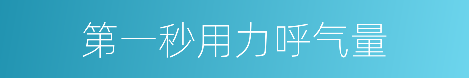 第一秒用力呼气量的同义词