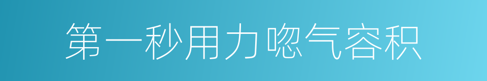 第一秒用力唿气容积的同義詞