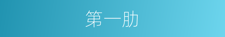 第一肋的同义词
