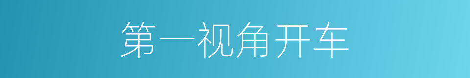 第一视角开车的同义词