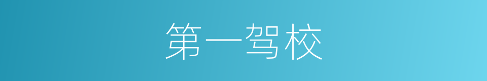 第一驾校的同义词
