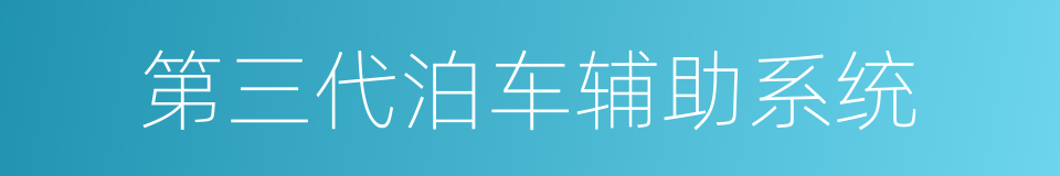 第三代泊车辅助系统的同义词