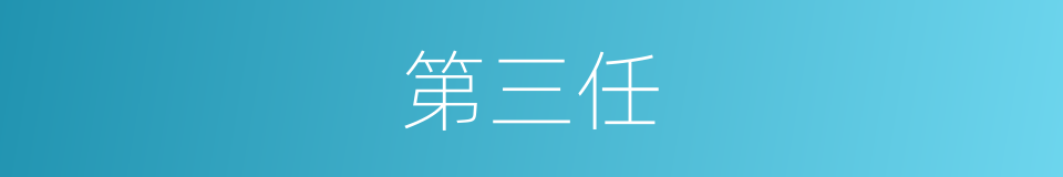 第三任的同义词