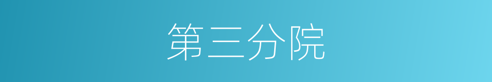 第三分院的同义词