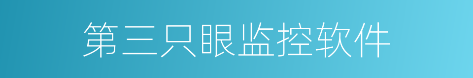 第三只眼监控软件的同义词