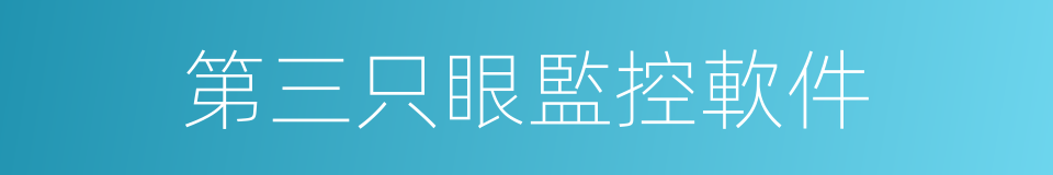 第三只眼監控軟件的同義詞
