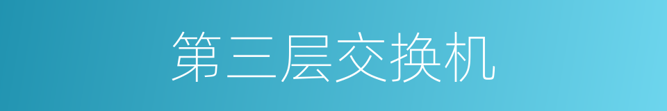 第三层交换机的同义词