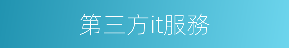 第三方it服務的同義詞