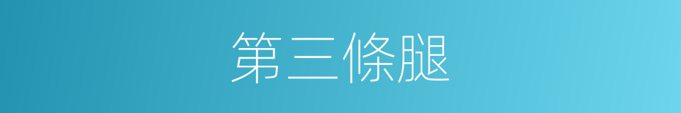 第三條腿的同義詞