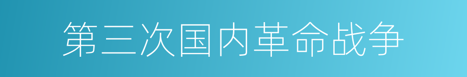 第三次国内革命战争的意思