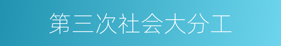 第三次社会大分工的同义词