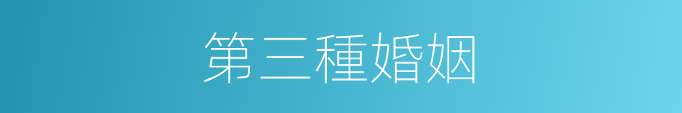 第三種婚姻的同義詞