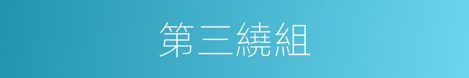 第三繞組的同義詞