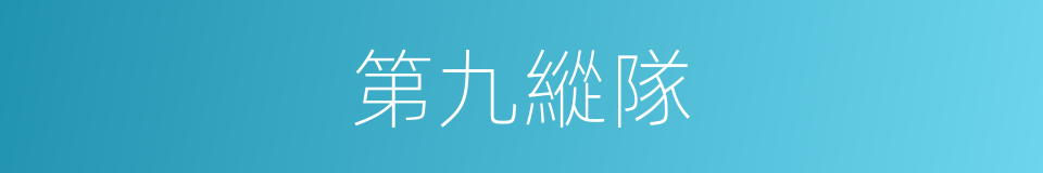 第九縱隊的同義詞