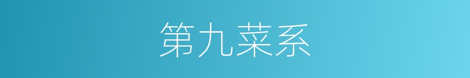 第九菜系的同义词