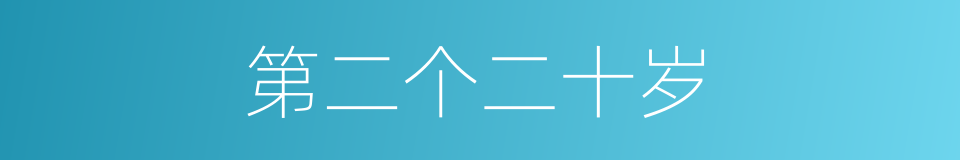 第二个二十岁的同义词
