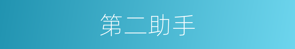 第二助手的同义词