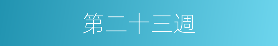 第二十三週的同義詞