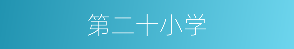 第二十小学的同义词