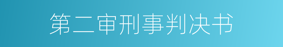 第二审刑事判决书的同义词