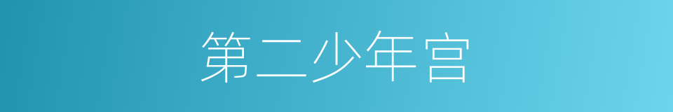 第二少年宫的同义词