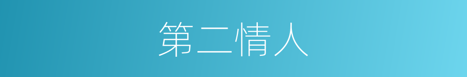 第二情人的同义词