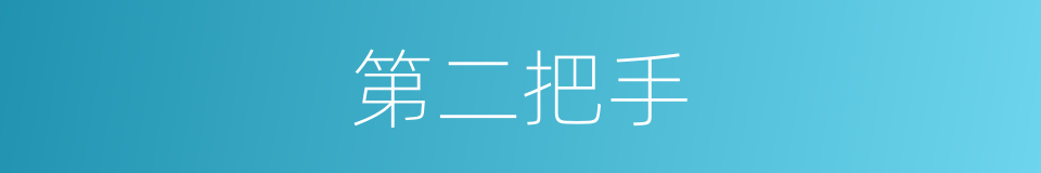 第二把手的意思