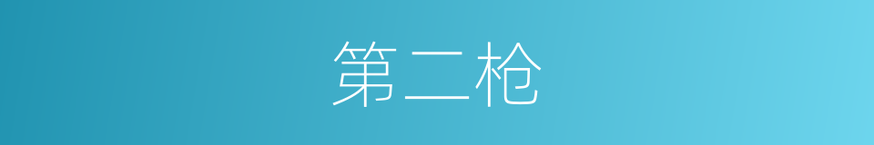 第二枪的同义词