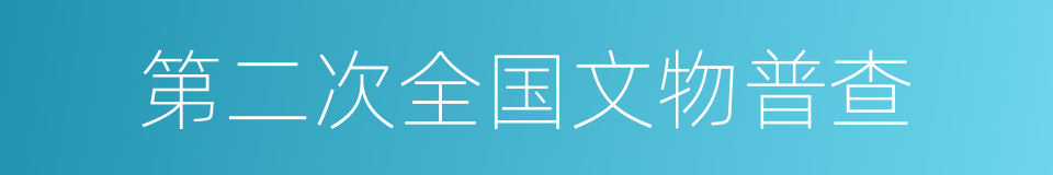 第二次全国文物普查的同义词