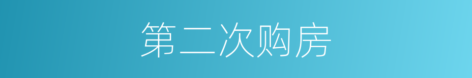 第二次购房的同义词