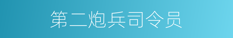 第二炮兵司令员的同义词