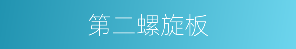 第二螺旋板的同义词