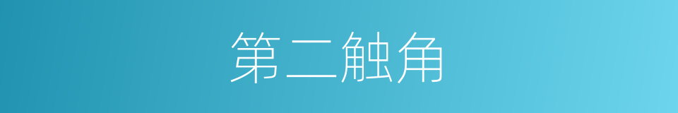 第二触角的同义词