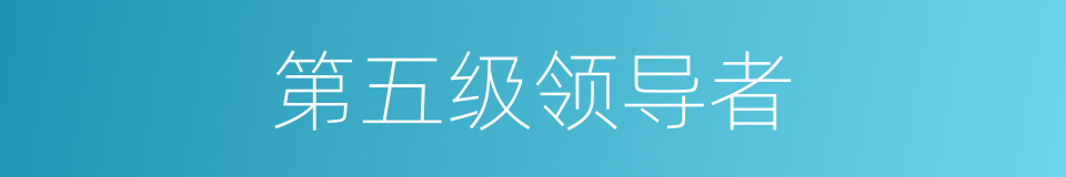 第五级领导者的同义词