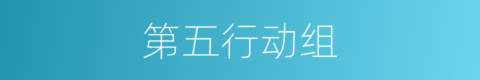 第五行动组的同义词