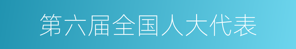 第六届全国人大代表的同义词