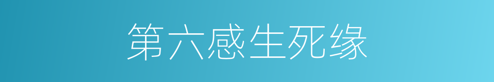 第六感生死缘的同义词