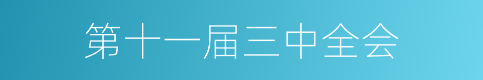 第十一届三中全会的同义词