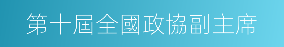 第十屆全國政協副主席的同義詞